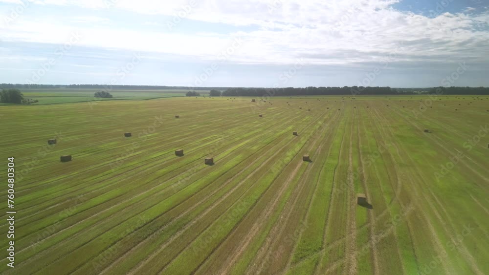Yellow field with harvested wheat and hay bales. Aerial view of the field with square bales Yellow field with harvested wheat and hay bales. Aerial view of the field with square bales