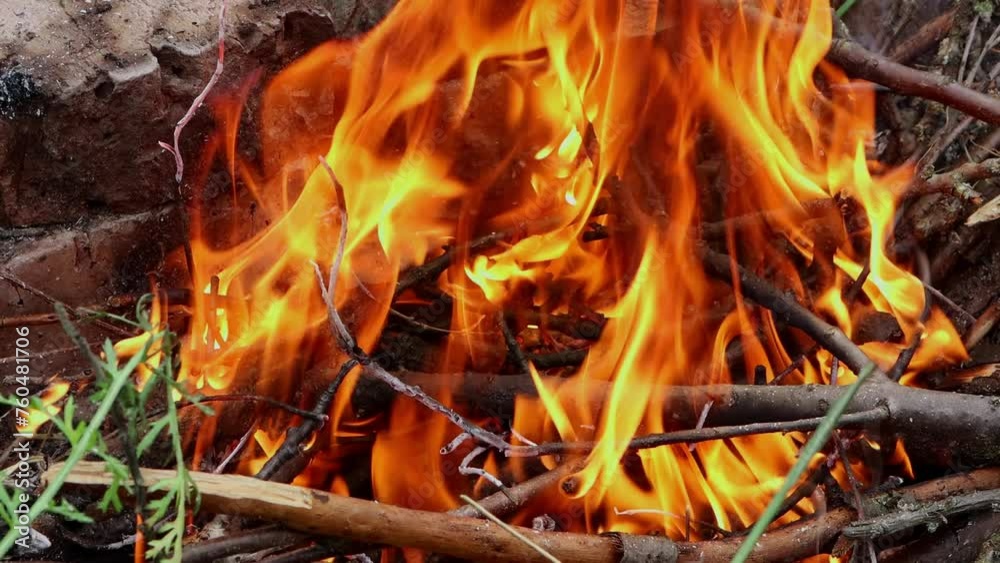 Bonfire with beautiful bright fire close-up Bonfire with beautiful bright fire close-up