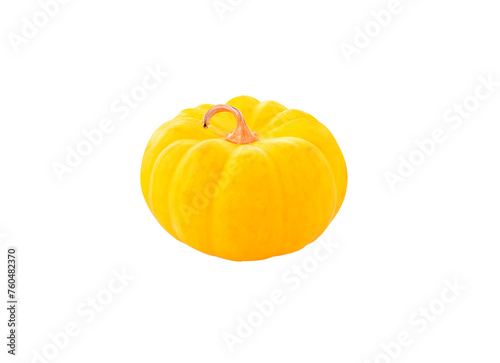 Studio shot of a nice ornamental pumpkin on transparent png