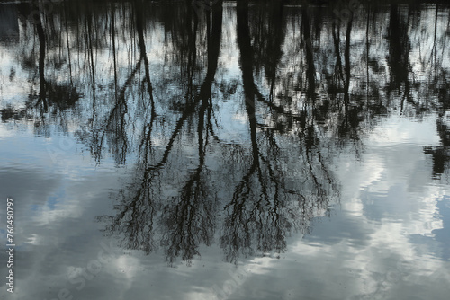 Reflection of trees in the water of a lake in the park © gabriela