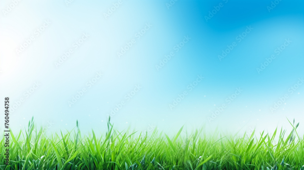 Fototapeta premium Abstract sunny summer background with grass and blue sky 