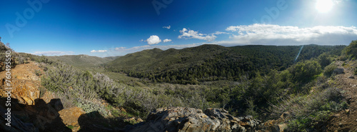A panoramic view of a forest with a clear blue sky
