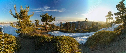 A panoramic view of a snowy mountain with trees and bushes