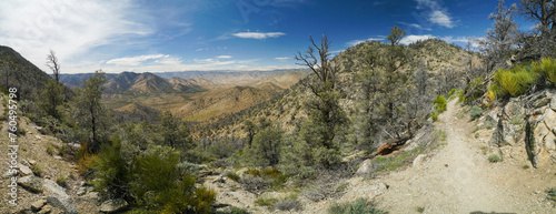 A panoramic view of a desert with a dirt road leading through it