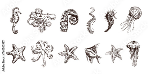 Octopus, fish, starfish, seahorses, jellyfish set. Hand drawn sketch illustration. Collection of realistic sketches of various ocean creatures isolated on white background.
