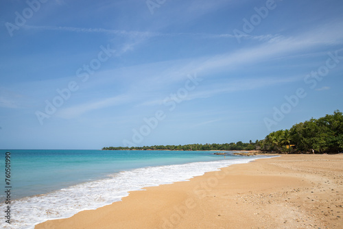 Lonely  wide sandy beach with a turquoise sea. Tropical plants of a bay in sunshine in the Caribbean. Plage de Cluny  Basse Terre  Guadeloupe  French Antilles 