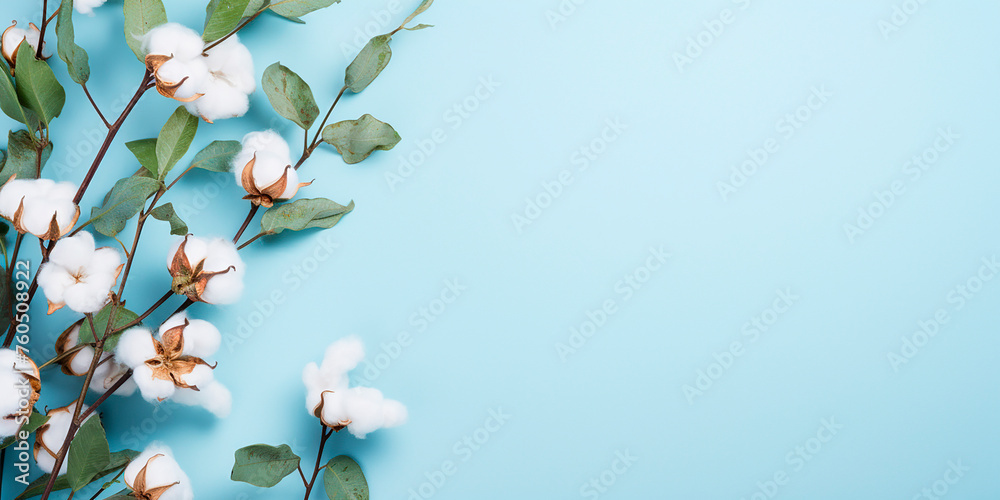 flat lay with eucalyptus leaves and cotton flowers with space for text. aesthetic frame made of eucalyptus leaves flat lay with eucalyptus leaves and cotton flowers with space for text. aesthetic frame made of eucalyptus leaves