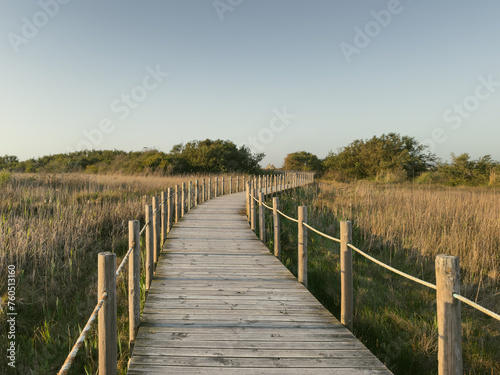 Barrinha of Esmoriz, situated between the municipalities of Espinho and Ovar, Portugal. photo