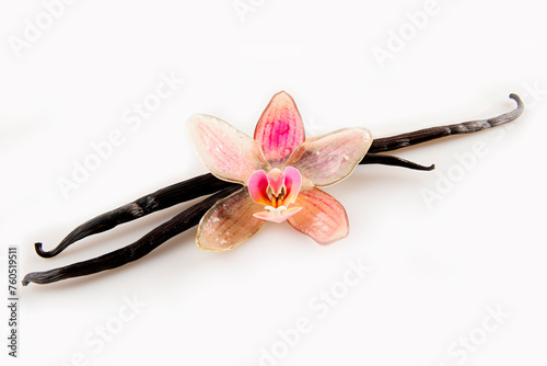 vanilla sticks with a delicate jelly vanilla orchid flower on white background