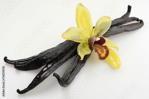 vanilla sticks with a delicate jelly vanilla orchid flower on white background