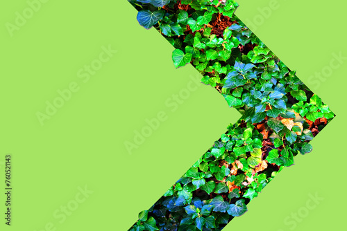 Concept, environment. Green abstract arrow made of leaves on a green background. Copy space. Environment protection. Natural