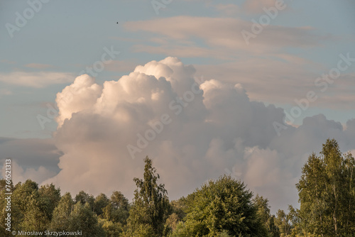 chmury i drzewa © Mirosław