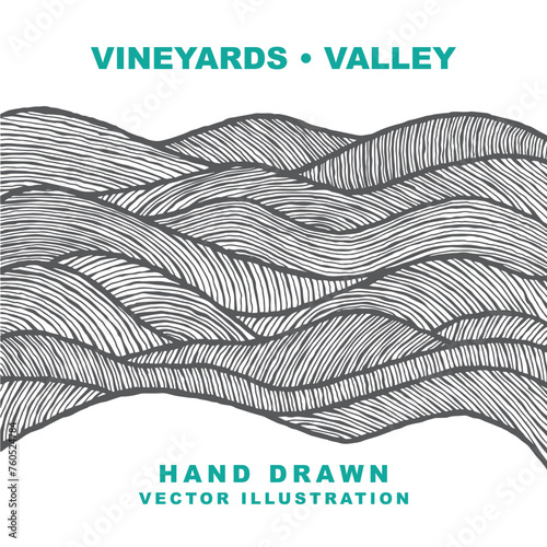Vineyards abstract illustration. Hand drawn stylized valley vector graphic. Part of set.