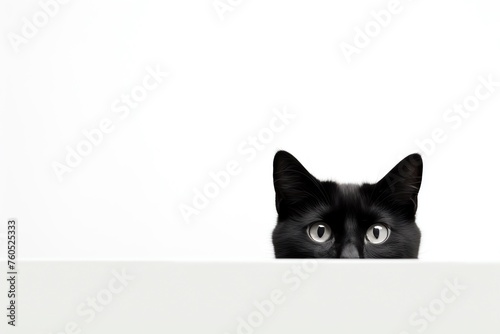 a black cat looking over a white surface