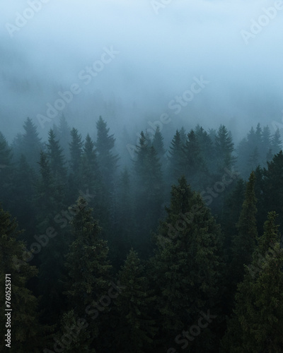 Misty Mountain