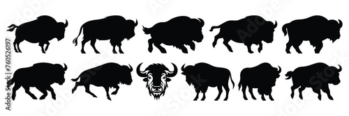 Bison buffalo silhouettes set, large pack of vector silhouette design, isolated white background photo