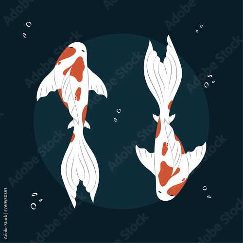 Two beautiful carp on dark background. Bright vector illustration. Fashionable painting for packaging, wallpaper, children's, clothing and stationery.