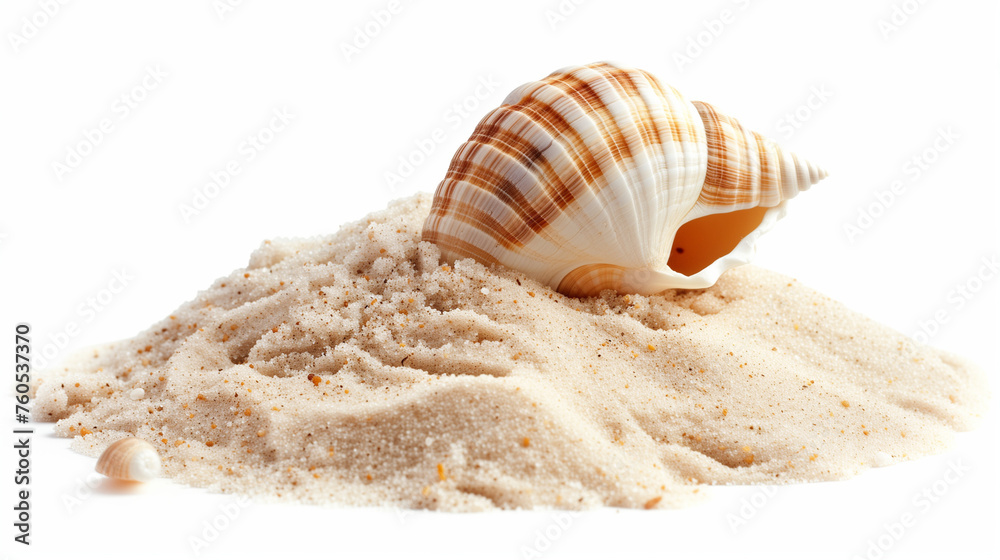 Sea shell in sand pile isolated on white, side view