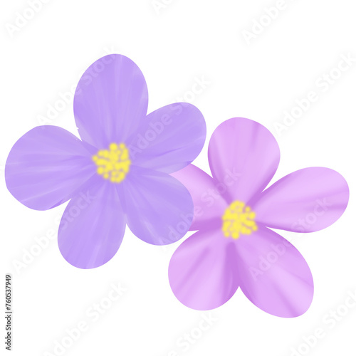 Watercolor flower illustration