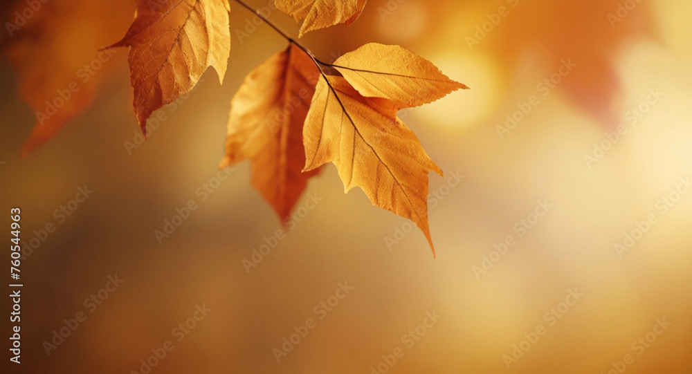 Blurred autumn nature background with golden leaves and sunlight 