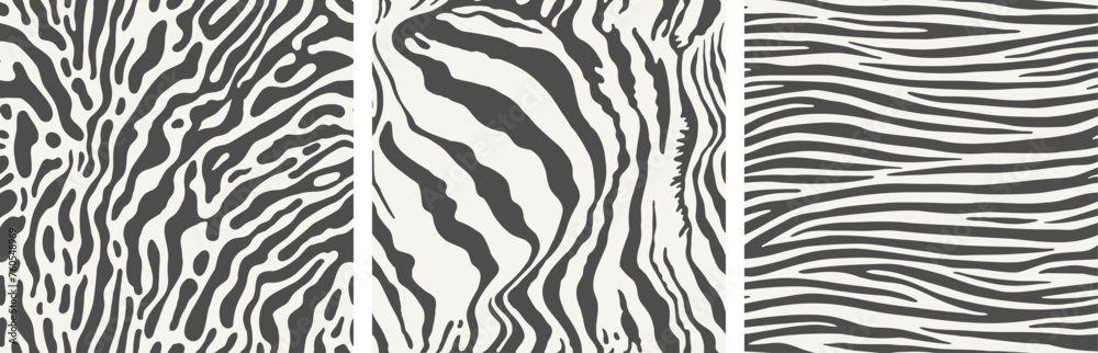 Set of three seamless zebra skin patterns. Set of three seamless zebra skin patterns.
