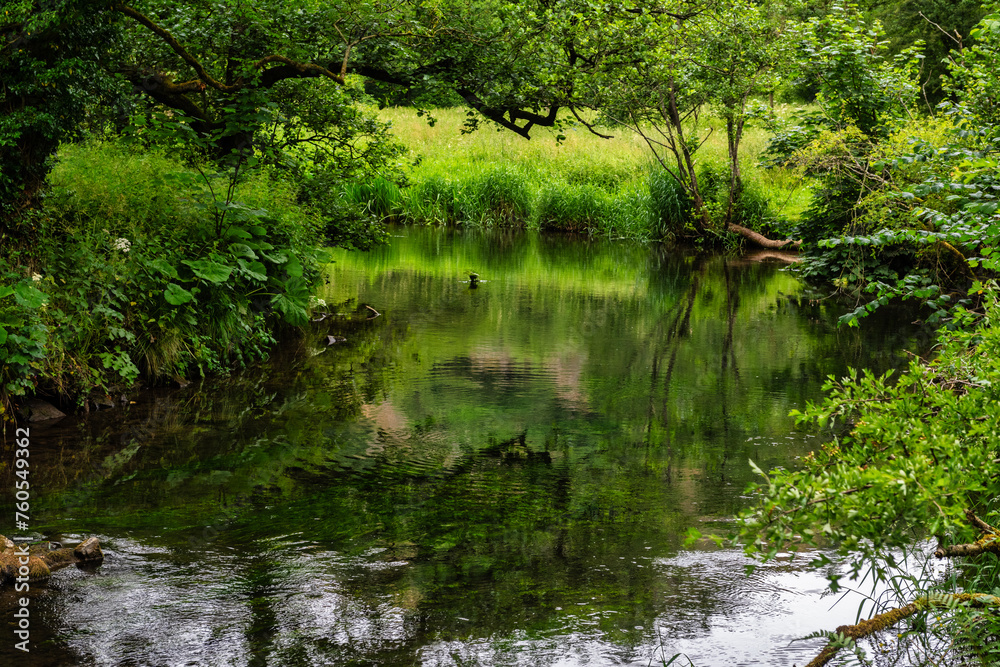 The River Dove viewed from the path between Dovedale and Milldale in the Peak DIstrict in Derbyshire, England