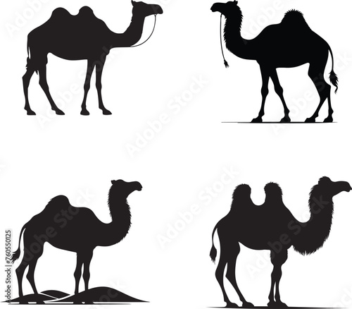 camel silhouettes