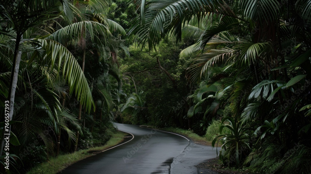 curvy road going through a jungle in spring 