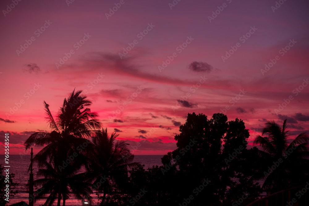 Pink sunset against the background of the palm trees. Amazing beautiful sunset on the islands. Colorful natural background