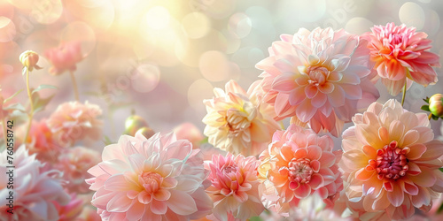 A closeup of delicate pastel-colored peonies and dahlias flowers on blur background, banner