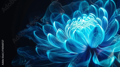 Glowing blue chrysanthemum flower on dark background. Floral abstract background