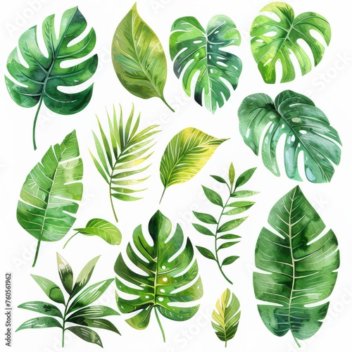 A clipart illustration showing various watercolor tropical leaves on a white background.