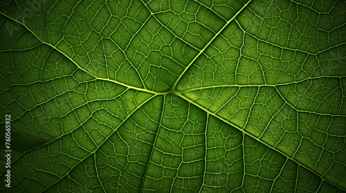 Green leaves abstract pattern, nature illustration