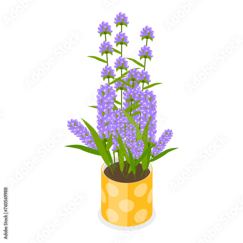3D Isometric Flat Vector Set of Garden Flowers, Different Plants in Pots. Item 2