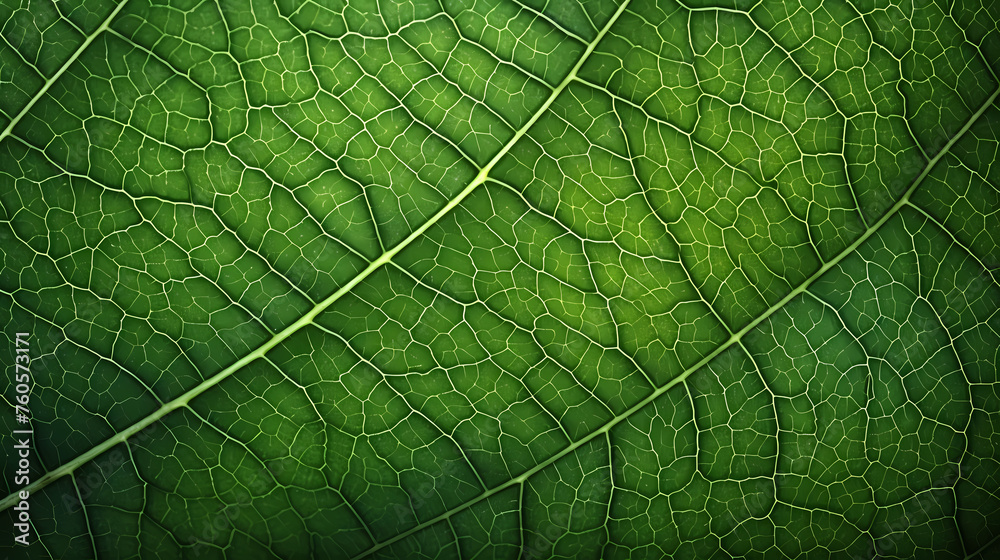 Fototapeta premium Green leaves pattern, nature illustration