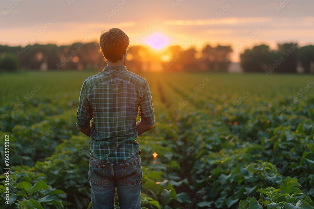 Rear View of Man in Agriculture Field at Sunrise

