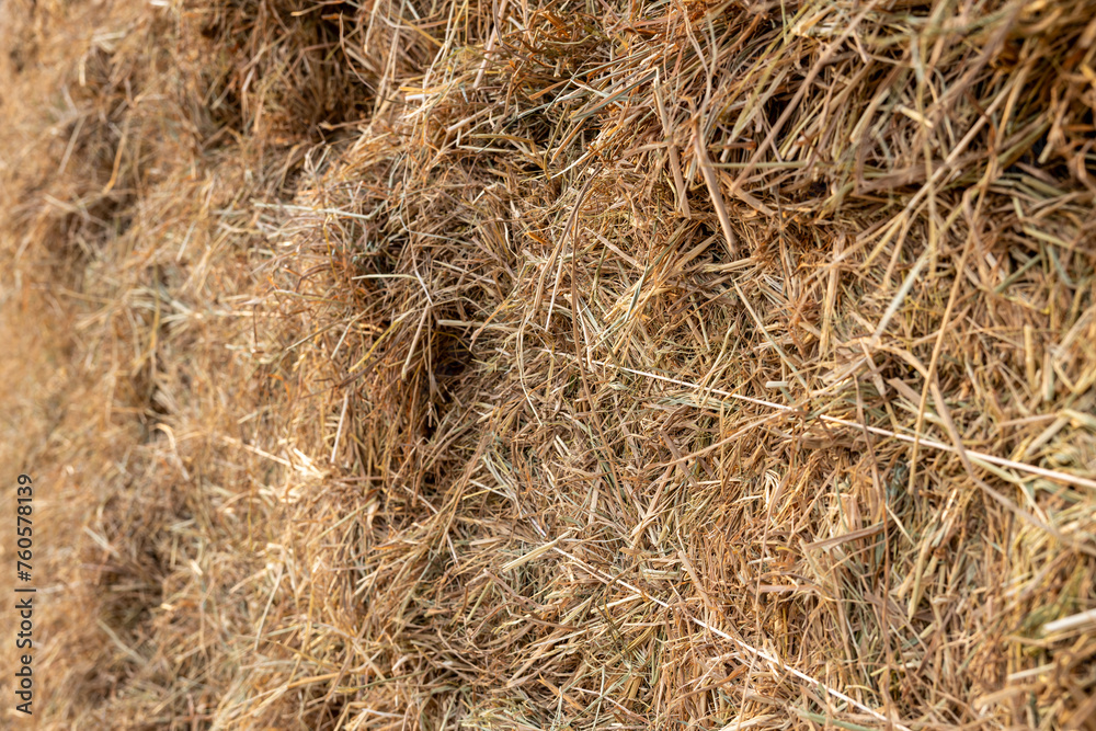 A close-up view of the background of many bales of compressed rice straw stacked. A close-up view of the background of many bales of compressed rice straw stacked.