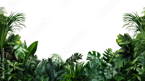 Tropical leaves foliage plant bush floral border isolated on clear png background and transparent background. Fresh and nature concept for nature decorative and flower element, AI generative. 