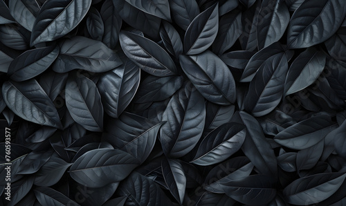 abstract black leaves for tropical leaf background  Generative AI