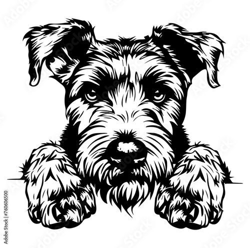 Airedale Terrier dog face peeking over front paws vector illustration