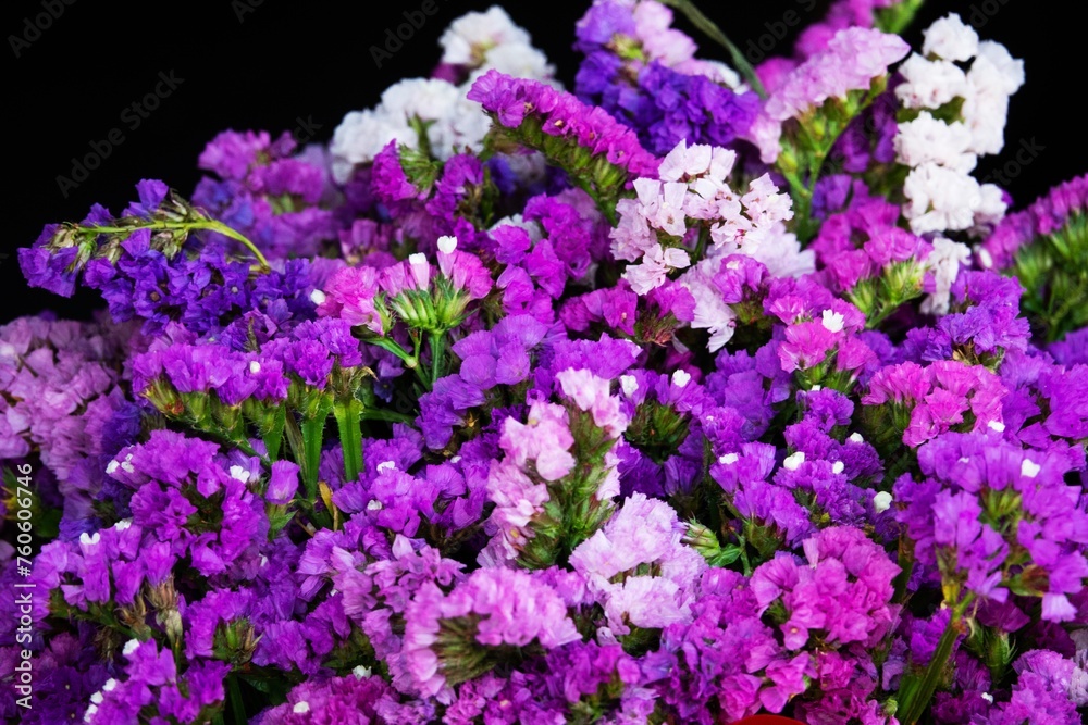 A bunch of purple and white flowers are arranged in a vase
