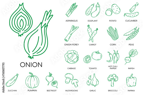 Vegetables hand drawn icons set. Vector icons.