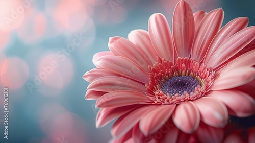  a close up of a pink flower with blurry lights in the background and a blurry background behind it.