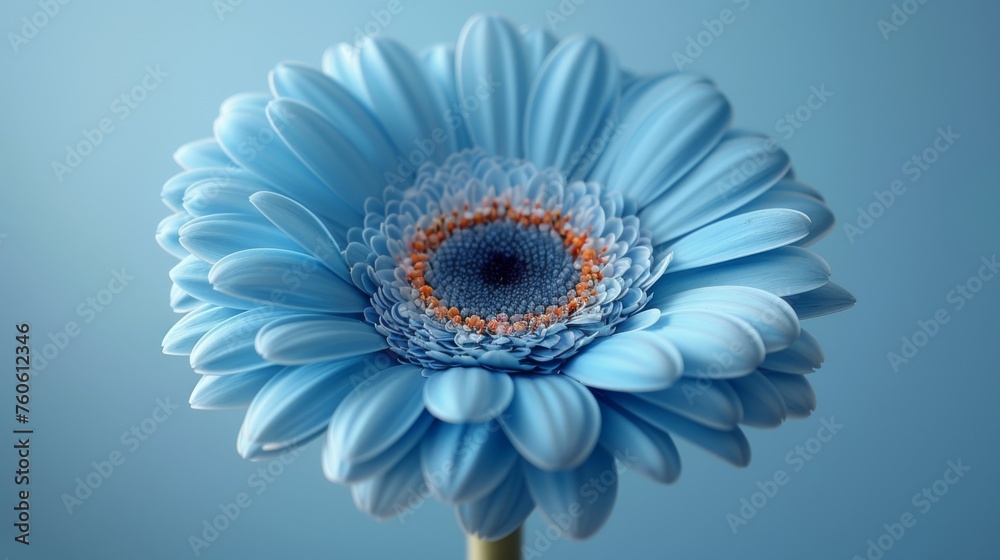 a blue flower with an orange center in the middle of the center of the flower, on a blue background. a blue flower with an orange center in the middle of the center of the flower, on a blue background.