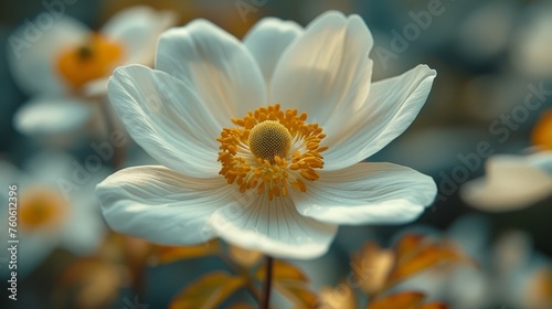  a close - up of a white flower with yellow stamen in the middle of the center of the flower.