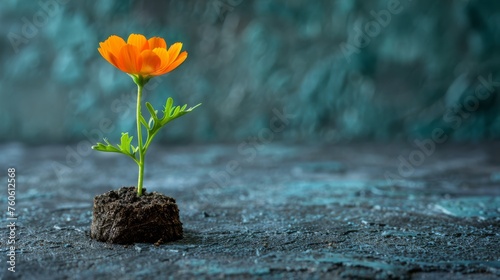  a single orange flower is growing out of a crack in a concrete block with a green stem sticking out of it.