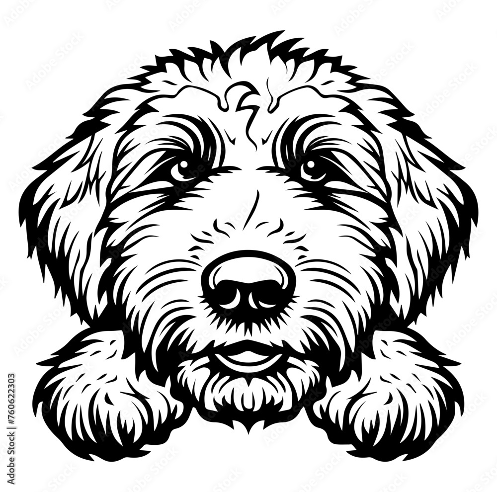 custom made wallpaper toronto digitalGolden Doodle dog face peeking over front paws vector illustration