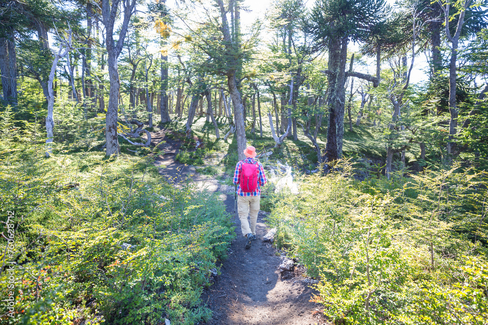 Hike in the forest