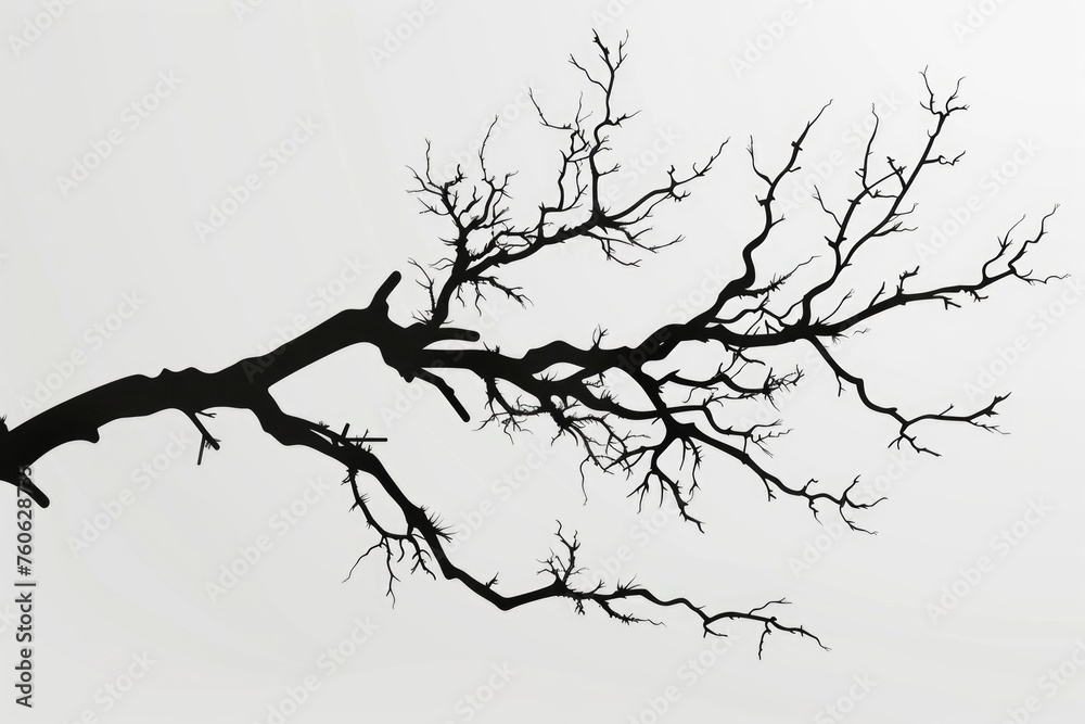 A minimalist black and white photo of a solitary bare tree. Perfect for nature or abstract concepts