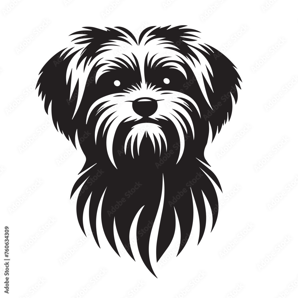Maltese Dog Silhouettes in Sitting, Standing, Jumping positions, Maltese face silhouettes clean vector outlines, isolated on white background, cute dog puppy with hair, cuteness